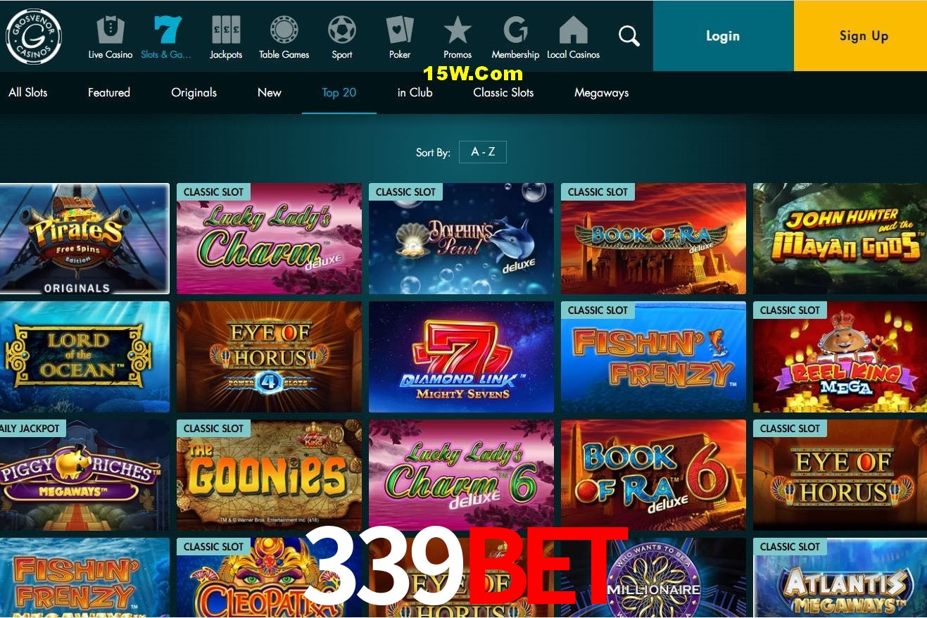 Bonus Features 339Bet